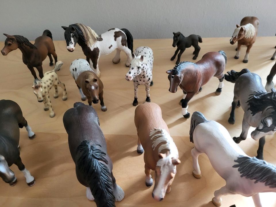 Schleich Tiere/ Pferde 22 Stück in München