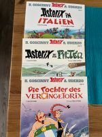 Asterix und Obelix Bremen - Hemelingen Vorschau