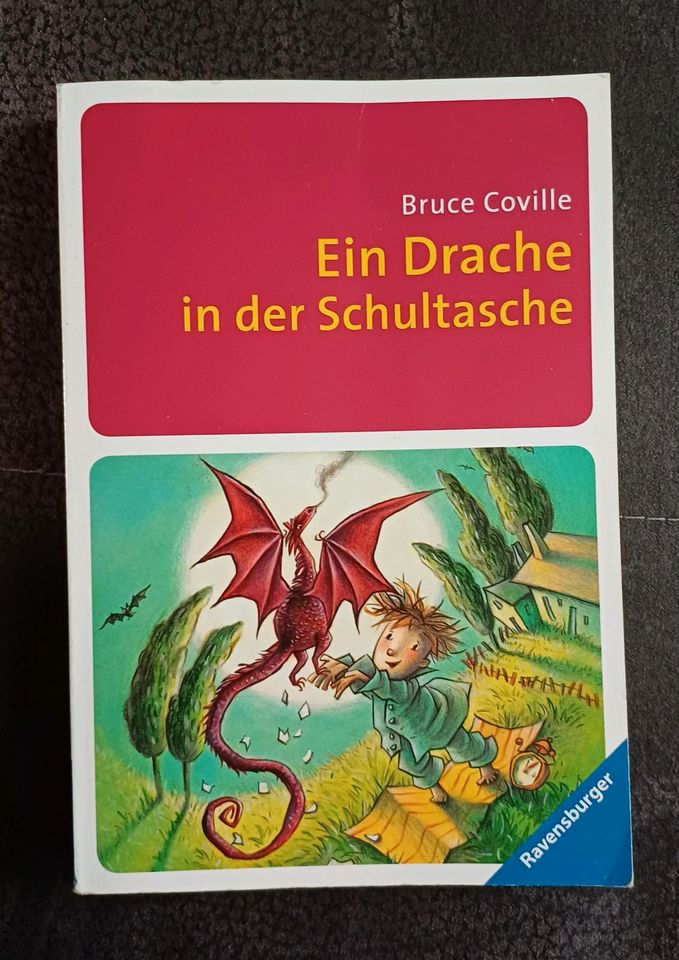 Kinderbuch "Ein Drache in der Schultasche" in Salzatal