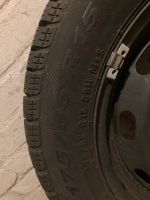 Winterreifen Pirelli Snowcontrol 175/65 R15 M+S MINI Felge Eimsbüttel - Hamburg Eimsbüttel (Stadtteil) Vorschau