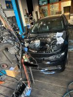 Bmw f31 320d Kettenwechsel/Service Steuerkette Audi Vw 3.0l Tdi Sachsen - Markneukirchen Vorschau