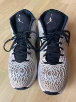 Air Jordan grau Größe 42 Hessen - Idstein Vorschau