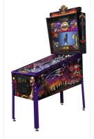 Guns n Roses CE Pinball/Flipper Nordrhein-Westfalen - Schwalmtal Vorschau