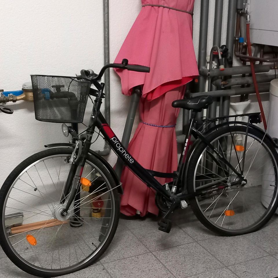 Damenfahrrad  Prophete in Theisbergstegen