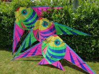 3x NEPTUNE Joel Scholz Sky Delight Kites original Lenkdrachen Bayern - Friedberg Vorschau