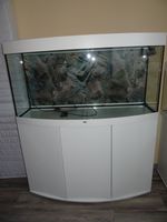 Juwel Vision 260 Aquarium Komplettset Bayern - Berching Vorschau