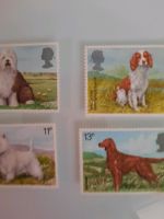 Briefmarken postfrisch 1979 Großbritannien Hunde Duisburg - Duisburg-Mitte Vorschau