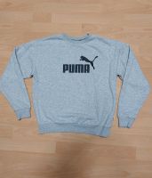 Puma Sweatshirt Gr.  S grau Bayern - Weiden (Oberpfalz) Vorschau