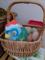 frische Eier von glücklichen Hühnern (keine BE) Brandenburg - Templin Vorschau