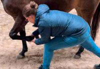 Osteopathie und Bewegungstraining für Pferde Baden-Württemberg - Schwaikheim Vorschau