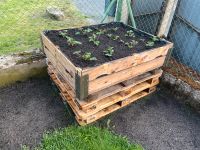 Hochbeet 1,2x1,0 m versch. Höhen, für Hof, Garten Sandkasten Bayern - Ohrenbach Vorschau