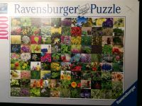 Puzzle von Ravensburger 1008 Teile Niedersachsen - Nordstemmen Vorschau