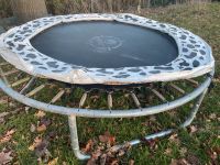 Trampolin mit Netz ca 260 cm Rheinland-Pfalz - Polch Vorschau