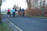 Pflege-und Reitbeteiligung auf privater Basis, Zeit mit Pferden Nordrhein-Westfalen - Monschau Vorschau