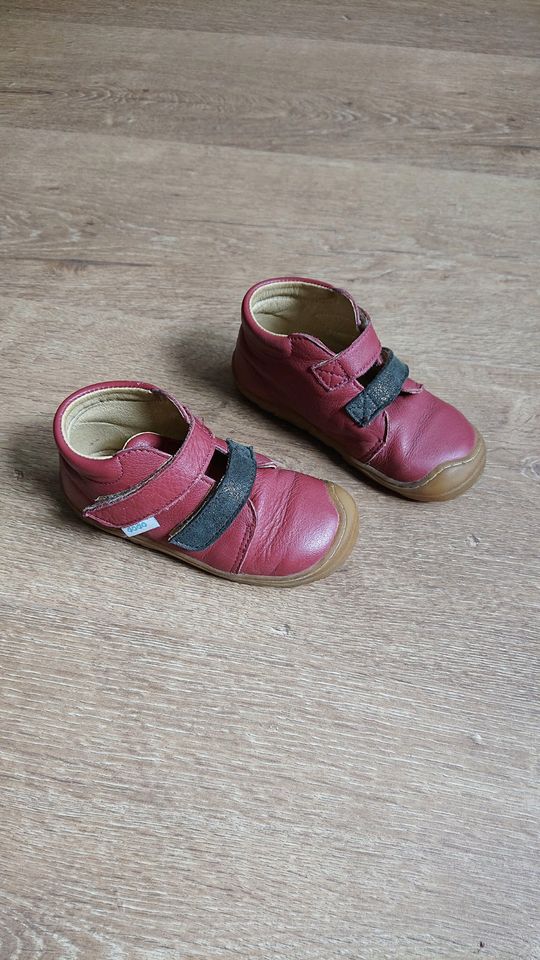 Dodo Shoes Barfußschuhe Übergang Klett - Noah Boot - Rot - Gr. 23 in Kornwestheim