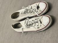 Converse Allstars Größe 39 Hamburg - Harburg Vorschau