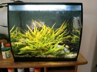 Aquarium Fluval Flex 57l Bayern - Hunderdorf Vorschau