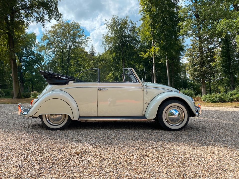 Hochzeitsauto Oldtimer Käfer cabrio 1965 Mieten kevermobiel in Bad Bentheim