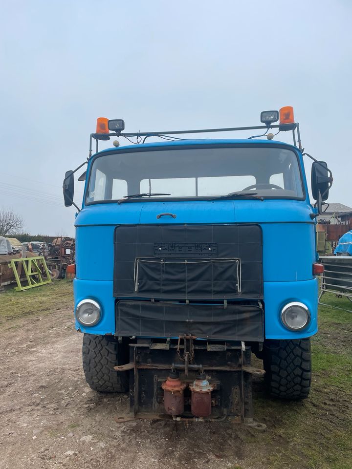 Schlachtfest,IFA,L 60,IFA L 60,LKW,Fortschritt, in Wülknitz