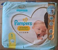 Pampers Premium Protection  1 Saarland - Neunkirchen Vorschau