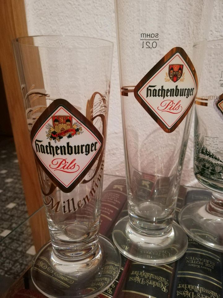 ⚠️ Bierglas 0,50€ Sammlung Hachenburger Veltins Teutsch Pilsener in Roßbach Westerwald