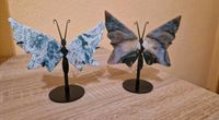 Achat Schmetterling Brandenburg - Ortrand Vorschau