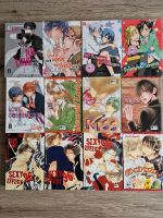 BL/Boys Love/Yaoi/Shonen Ai Manga - LGBTQAI+ Bayern - Freising Vorschau