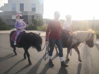 Ponyreiten für Kindergeburtstag und Co, mobiler Reitunterricht Brandenburg - Oberkrämer Vorschau