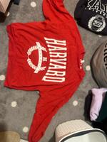 H&M Sweatshirt rot Damen Baden-Württemberg - Salem Vorschau