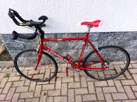 Rennrad Retro Sachsen - Göda Vorschau