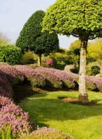 Der Frühling kommt Niedersachsen - Haren (Ems) Vorschau