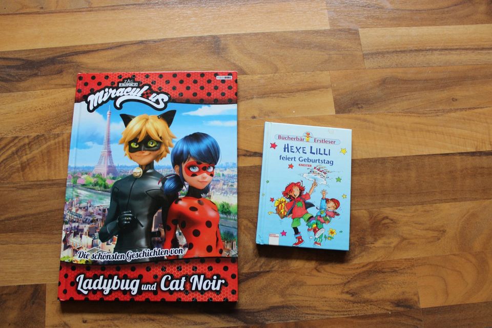 Buch Lady Bug Hexe Lilly in Nauen