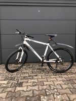 Fahrrad Cruiser / Mountain Baden-Württemberg - Unterensingen Vorschau