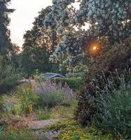 Grünpflege Gartenpflege Baumpflege Gärtner Hecke schneiden Sachsen - Zwickau Vorschau