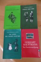 Literatur für Deutschunterricht Berlin - Pankow Vorschau