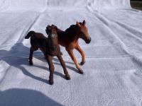 2 Schleich Folen Schleswig-Holstein - Reher Vorschau