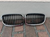 BMW 1er F20 F21 Nieren Grill Satz original Hessen - Linden Vorschau