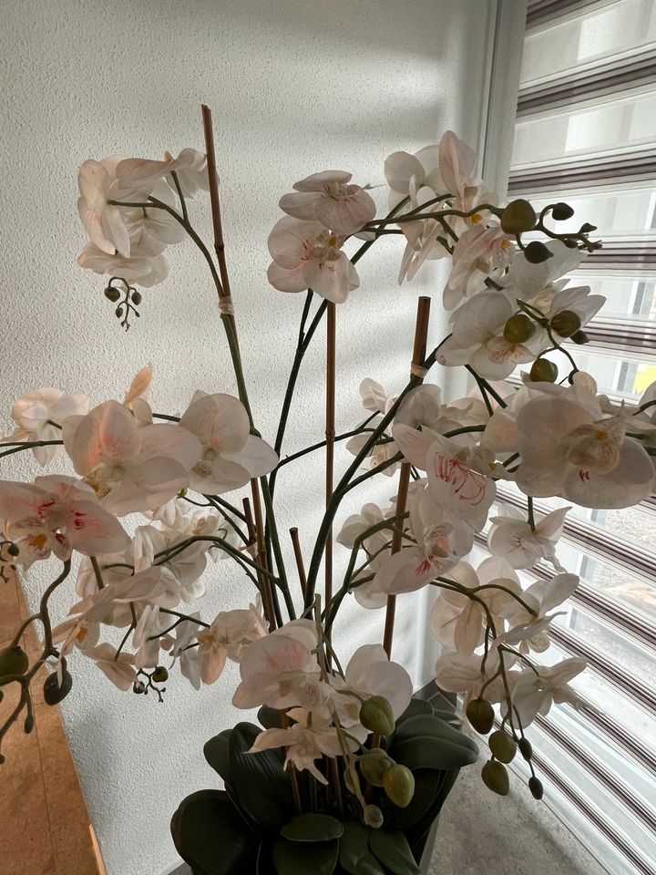 Sehr große Orchidee im Topf Kunstpflanze Haus deko in Traitsching