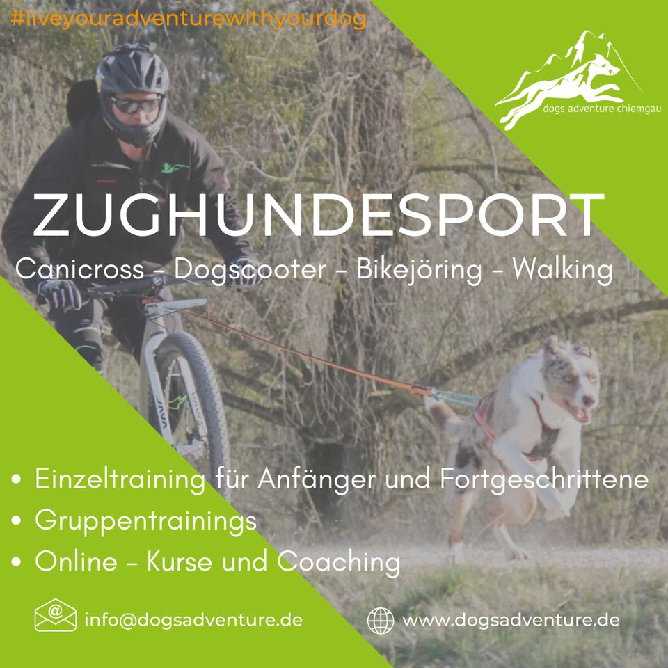 Zughundetraining - Canicross - Dogscooter - Bikejöring in Palling