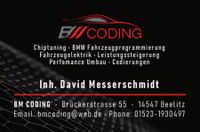 BMW Fussraummodul FRM Reparatur Brandenburg - Beelitz Vorschau