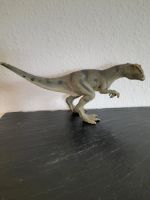 Großer Schleich Dinosaurier Dino / TOP-ZUSTAND. Nordrhein-Westfalen - Bad Wünnenberg Vorschau