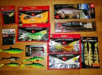 Wobbler Blinker Gummifisch NEUWARE SET Savage Gear Jackson Hecht Niedersachsen - Bad Bentheim Vorschau