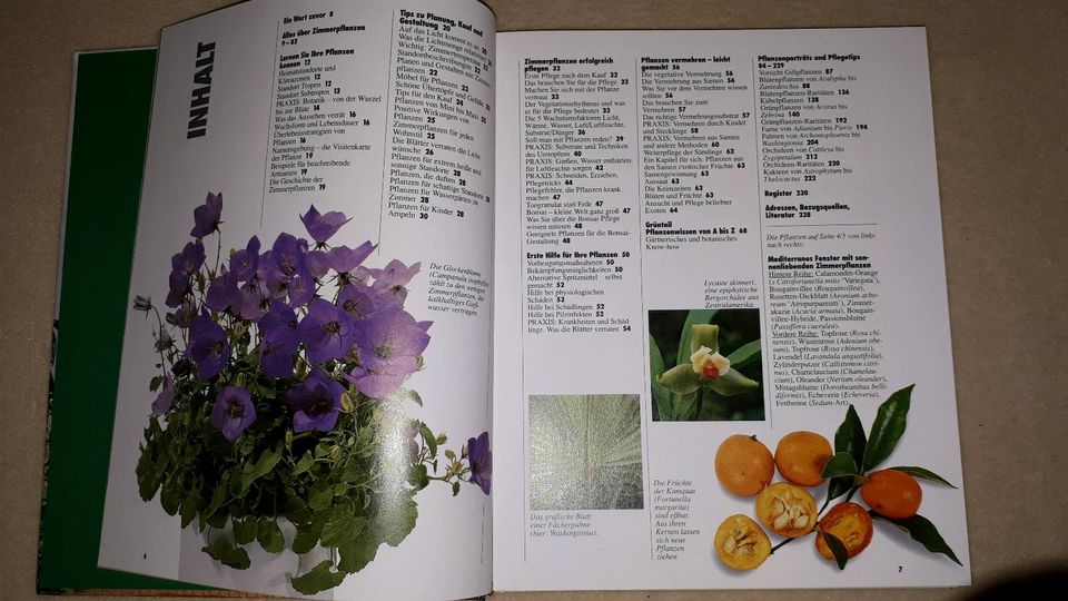 Weltbild-Verlag 2000, Buch über Zimmerpflanzen in Jahnsdorf