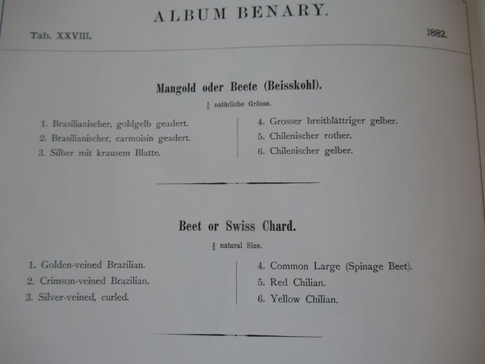 Album Benary Alte Gemüsesorten Manuscriptum ISBN: 3-933497-59-0 in Rinteln