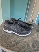 Asics Laufschuhe Niedersachsen - Seevetal Vorschau