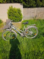 Pegasus Rad Fahrrad silber blau Damenrad Nordrhein-Westfalen - Wachtberg Vorschau