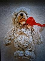 Teddy von Hermann, alt von 1970 Schleswig-Holstein - Börnsen Vorschau