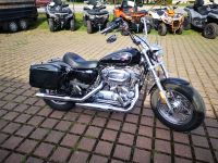 Harley-Davidson Sportster XL 1200C Custom Sachsen-Anhalt - Wernigerode Vorschau