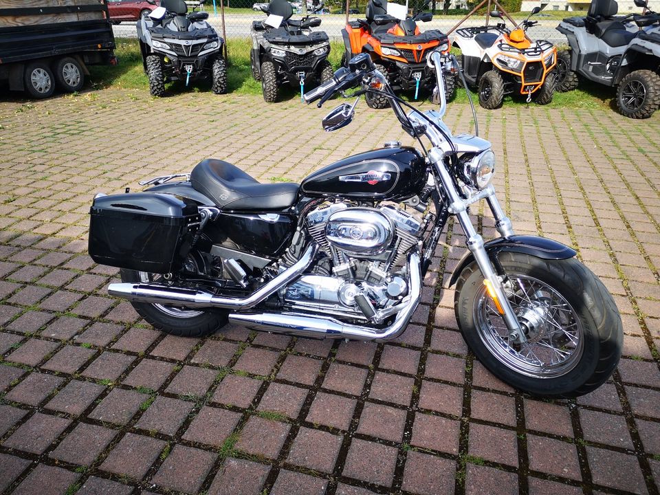 Harley-Davidson Sportster XL 1200C Custom in Wernigerode