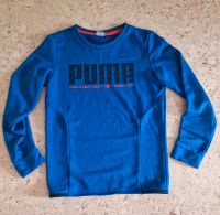 Puma Pullover Gr.152 w.Neu blau Nordrhein-Westfalen - Marsberg Vorschau